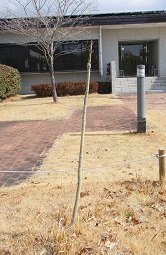 ʻ2022ǯ222