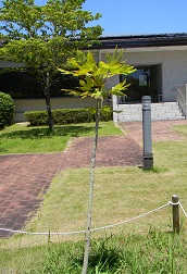 ʻ2022ǯ629