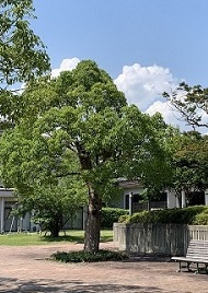   width=